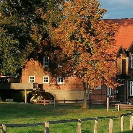 Bruchmuehlen Villa Bruchhausen-Vilsen Bagian luar foto